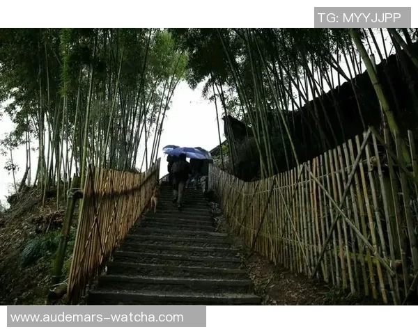 朱字球星纵横足球世界 揭秘他们的传奇足迹与辉煌成就 朱字球星纵横足球世界 揭秘他们的传奇足迹与辉煌成就